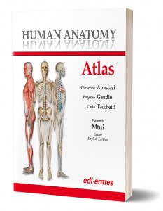 Human Anatomy - Atlas